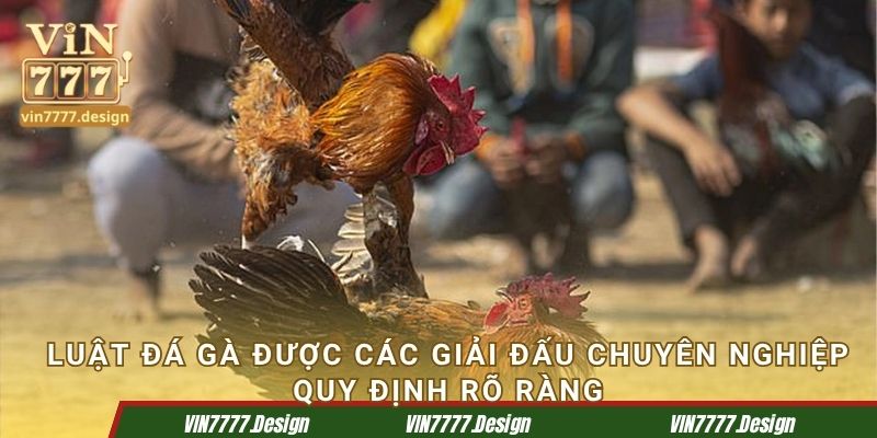 Luật các giải đấu chuyên nghiệp quy định rõ ràng