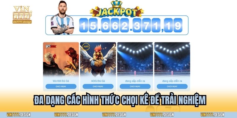 Đa dạng các hình thức chọi kê để trải nghiệm